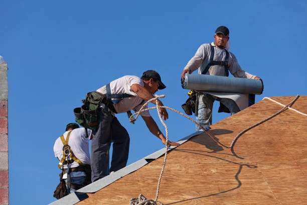 Best Roof Replacement Cost  in Toast, NC
