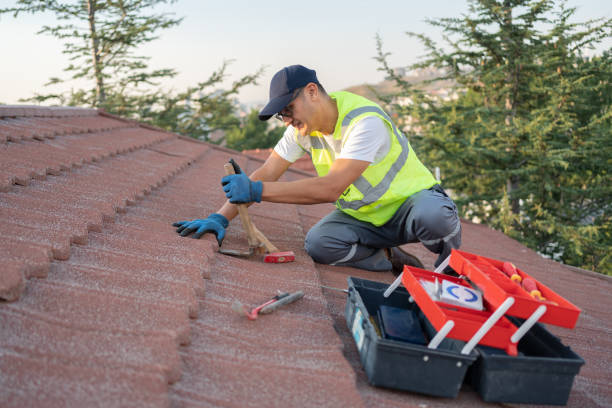 Best Metal Roofing Contractor  in Toast, NC