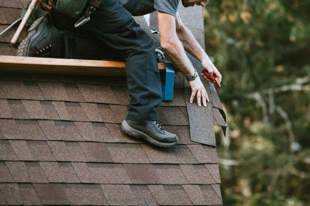 Roof Gutter Cleaning in Toast, NC