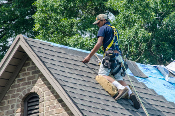Best Roof Waterproofing Services  in Toast, NC